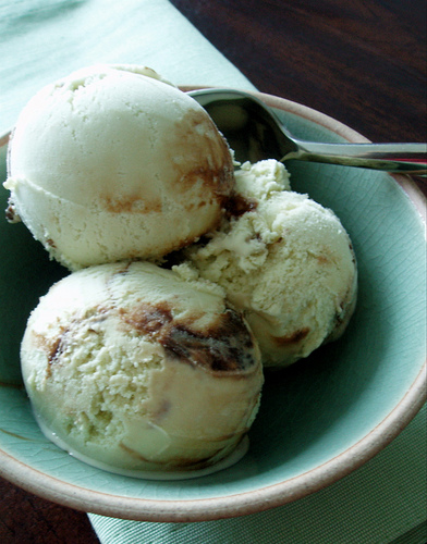 Fresh Mint Ice Cream with Fudge Ripple